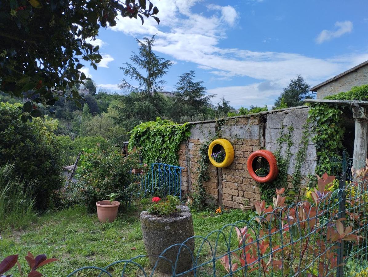 Casavacanzetorresansevero Orvieto Bagian luar foto