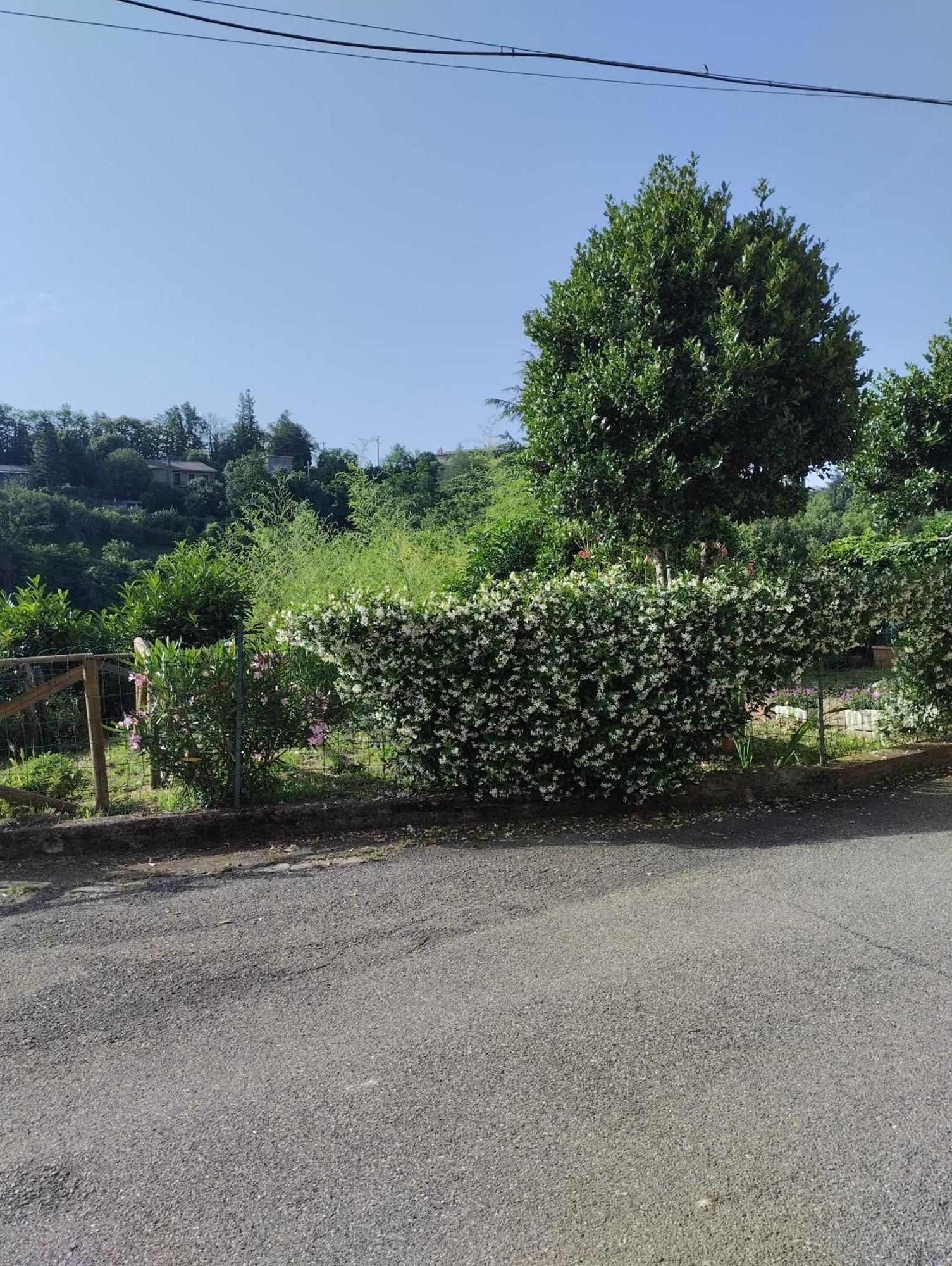 Casavacanzetorresansevero Orvieto Bagian luar foto